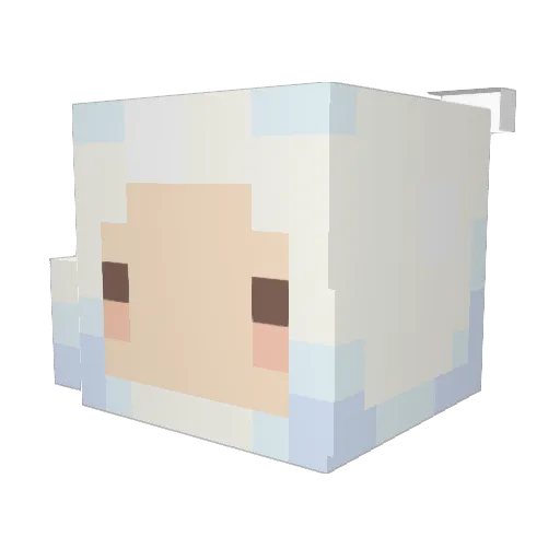 NotWashingDishes Minecraft avatar head, 3D render