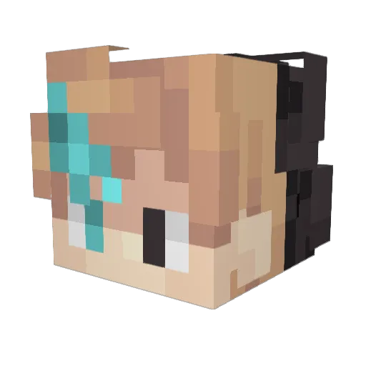 NotWinnieFred Minecraft avatar head, 3D render