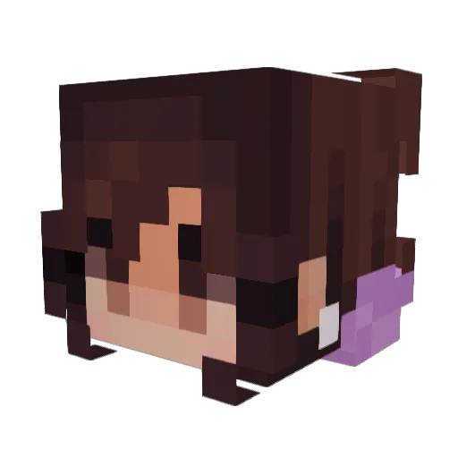 NotWrenn Minecraft avatar head, 3D render