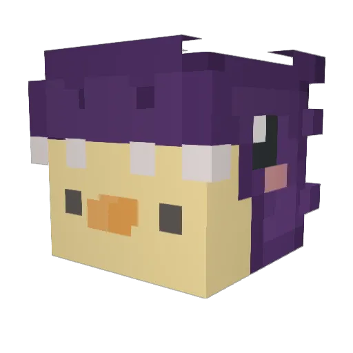 NotWyn_ Minecraft avatar head, 3D render