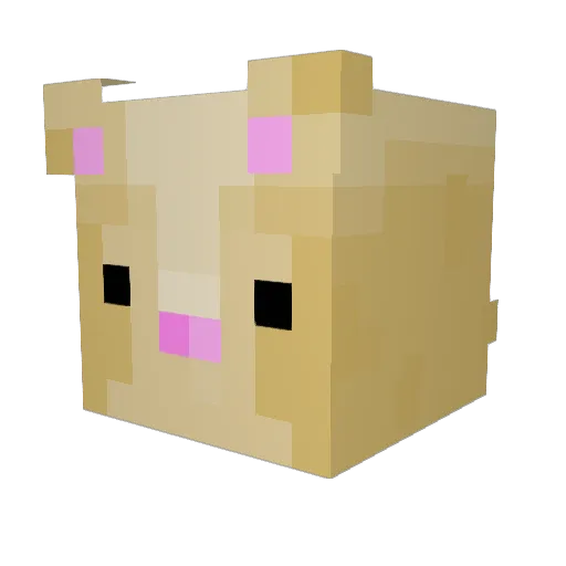 NotWzl Minecraft avatar head, 3D render