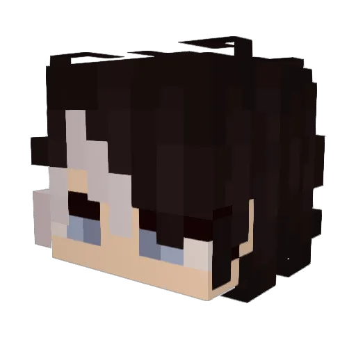 NotYourCircuS Minecraft avatar head, 3D render