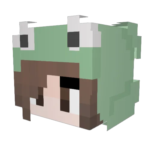 NotYourFroggy Minecraft avatar head, 3D render