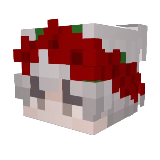 NotYourNotebook Minecraft avatar head, 3D render