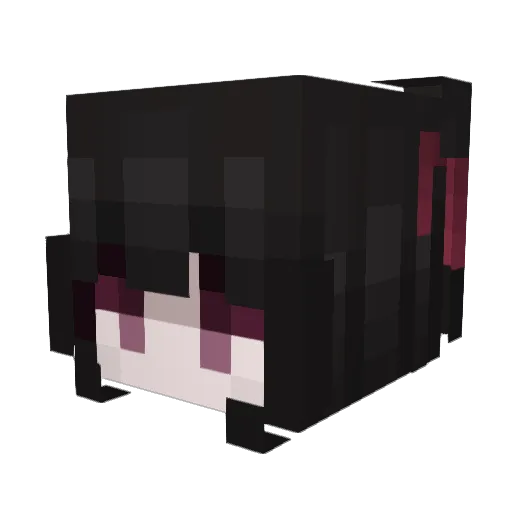 NotZak_ Minecraft avatar head, 3D render
