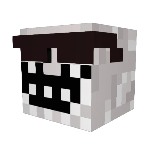 NotZeBy_ Minecraft avatar head, 3D render