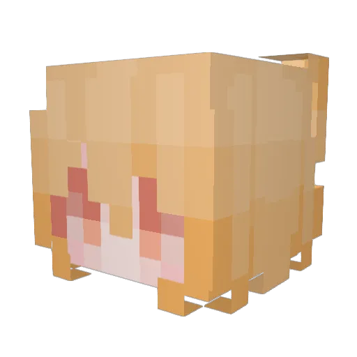 Not_A_Neko Minecraft avatar head, 3D render