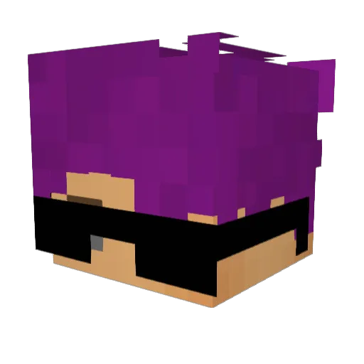 Not_A_Nerd Minecraft avatar head, 3D render