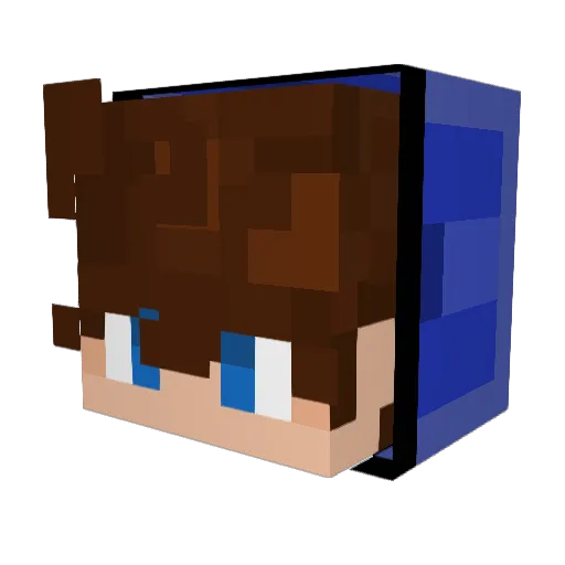 Not_Ado Minecraft avatar head, 3D render