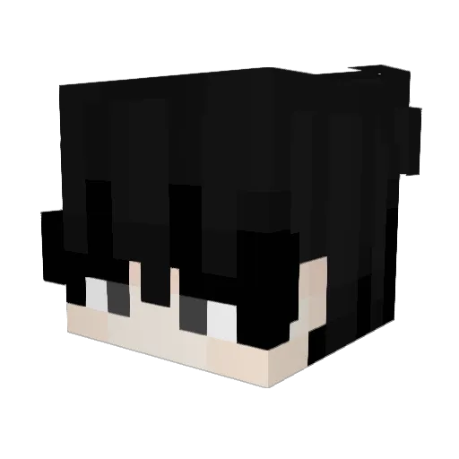 Not_Ali67 Minecraft avatar head, 3D render
