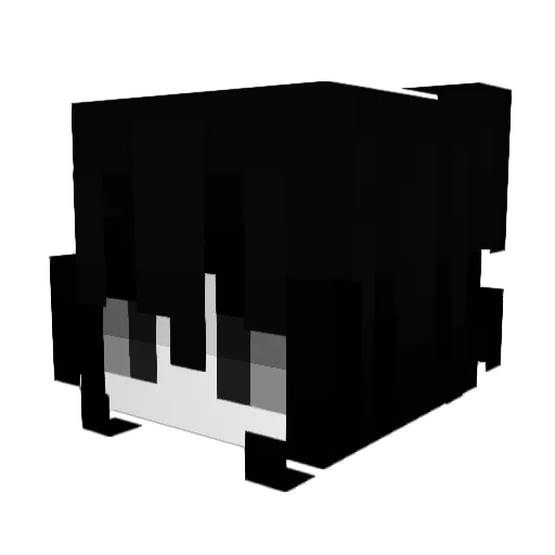 Not_AlphaX Minecraft avatar head, 3D render