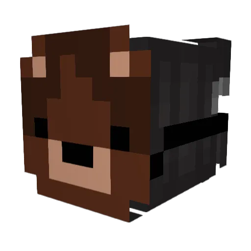Not_Argas Minecraft avatar head, 3D render