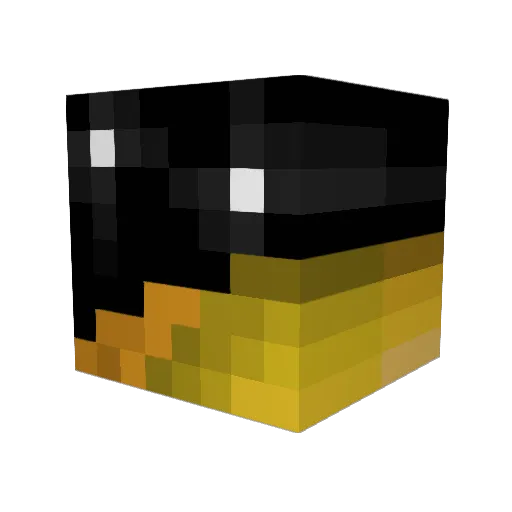 Not_Average_Joe Minecraft avatar head, 3D render