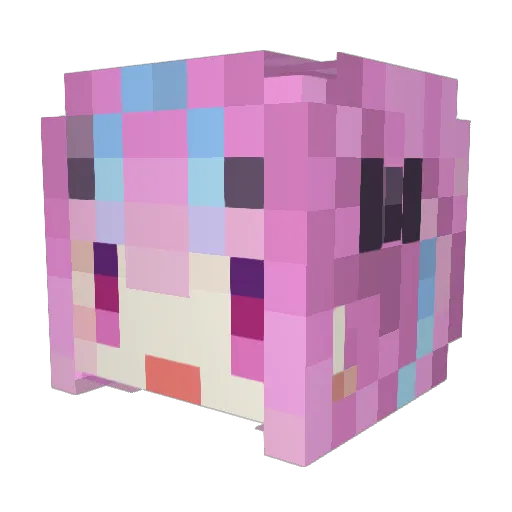Not_Bakua Minecraft avatar head, 3D render