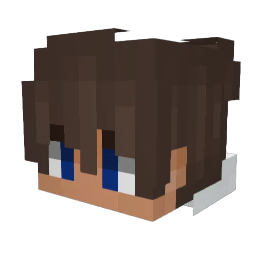 Not_Buckii Minecraft avatar head, 3D render