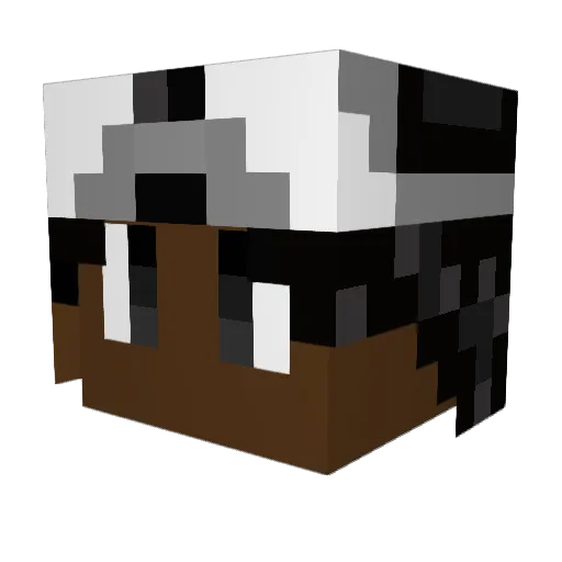 Not_CoffeeOffici Minecraft avatar head, 3D render