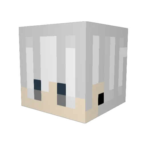 Not_DTX Minecraft avatar head, 3D render