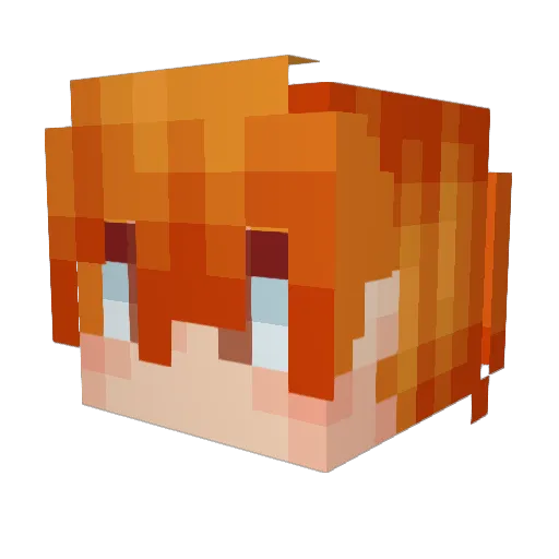 Not_Death Minecraft avatar head, 3D render