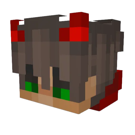 Not_Drxp Minecraft avatar head, 3D render