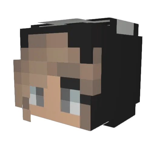 Not_DryOutBing Minecraft avatar head, 3D render