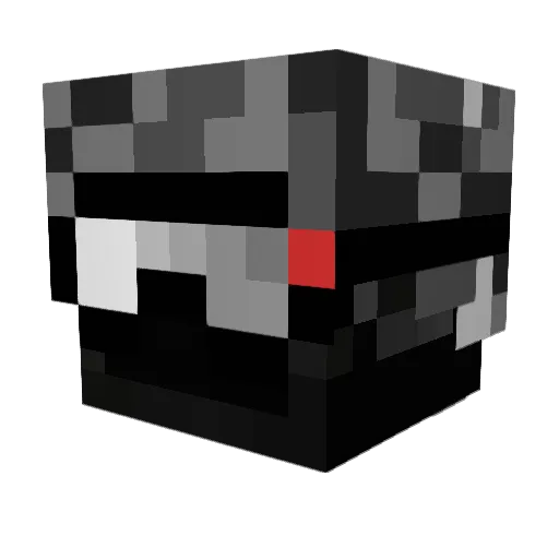 Not_Faytann Minecraft avatar head, 3D render