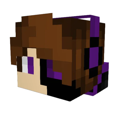 Not_Fishyy Minecraft avatar head, 3D render