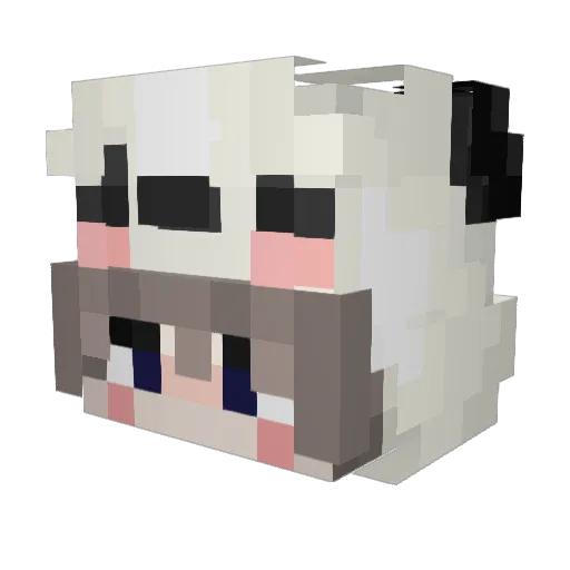 Not_Fluxi Minecraft avatar head, 3D render