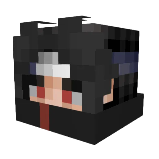Not_Froggy142 Minecraft avatar head, 3D render