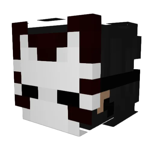 Not_Grassy Minecraft avatar head, 3D render