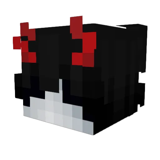 Not_H4nnzs Minecraft avatar head, 3D render