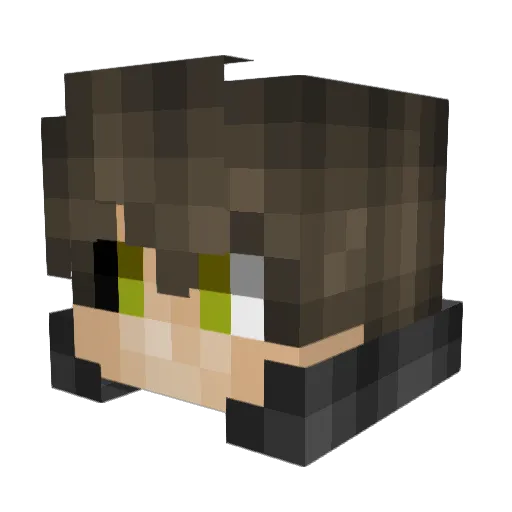 Not_IceYT Minecraft avatar head, 3D render