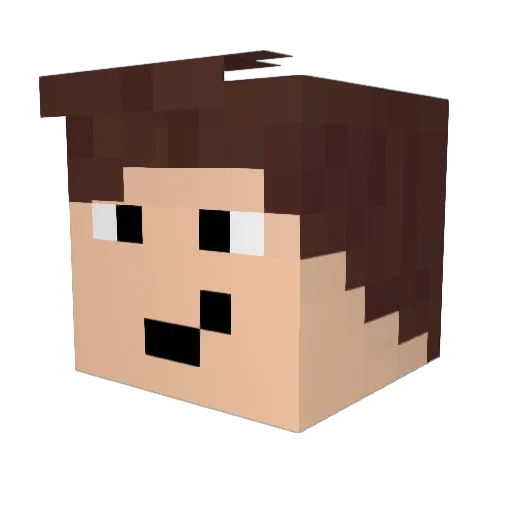 Not_Iori Minecraft avatar head, 3D render