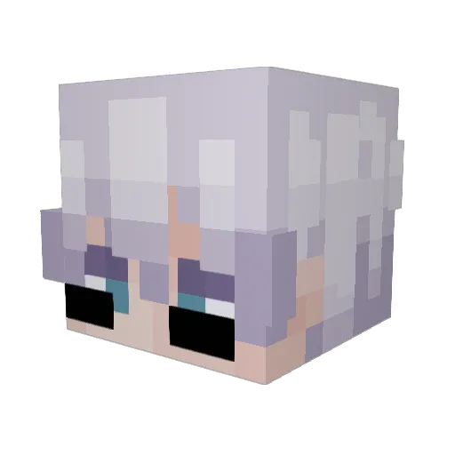Not_ItzUnlucky Minecraft avatar head, 3D render
