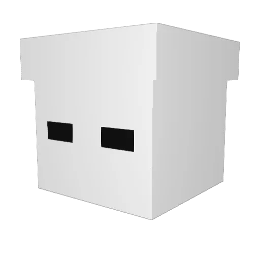 Not_KKK Minecraft avatar head, 3D render
