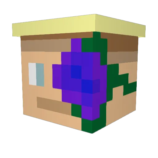 Not_KillerTime Minecraft avatar head, 3D render