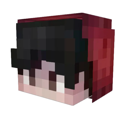 Not_Krishuu Minecraft avatar head, 3D render