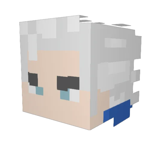 Not_Lanke Minecraft avatar head, 3D render