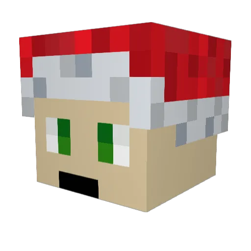 Not_Linusus Minecraft avatar head, 3D render