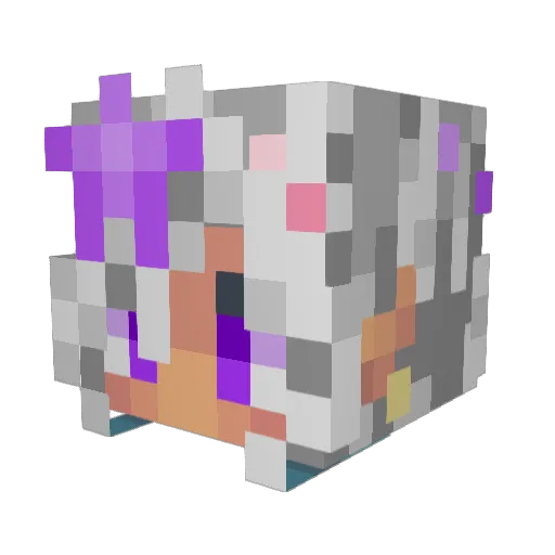 Not_Lioaq Minecraft avatar head, 3D render