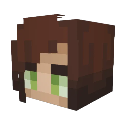 Not_Logan17 Minecraft avatar head, 3D render