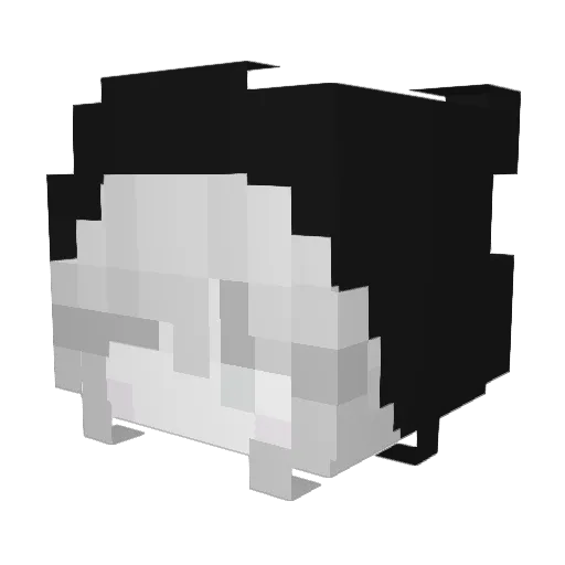 Not_Mandyxd Minecraft avatar head, 3D render