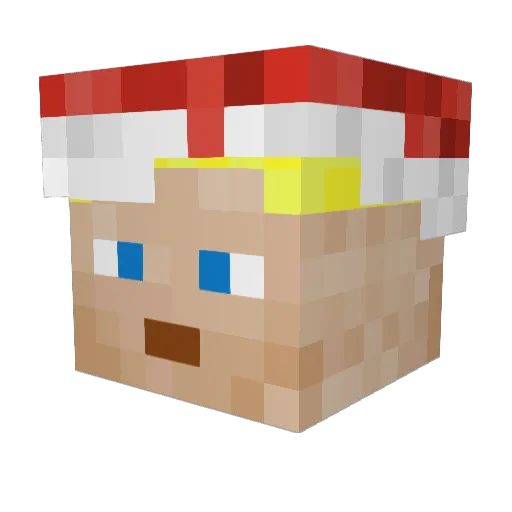 Not_Marxofy Minecraft avatar head, 3D render