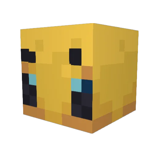 Not_Motion Minecraft avatar head, 3D render