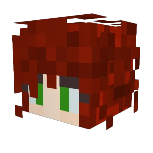 Not_My_Name_Here Minecraft avatar head, 3D render
