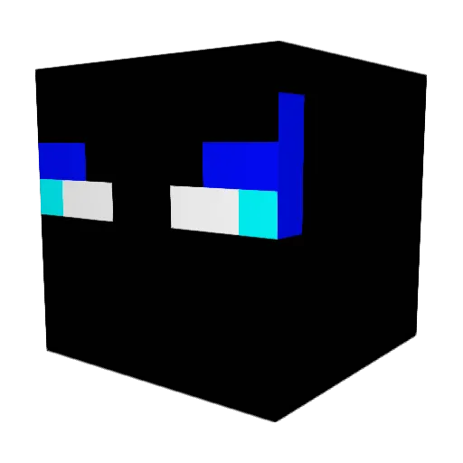 Not_Nicolino Minecraft avatar head, 3D render