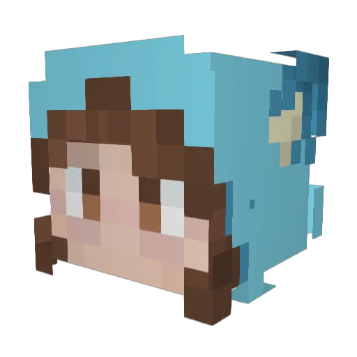 Not_Nightly Minecraft avatar head, 3D render
