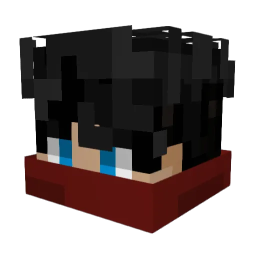 Not_OHbee Minecraft avatar head, 3D render