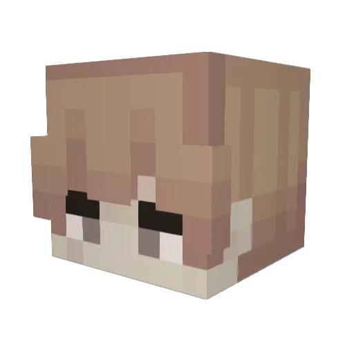 Not_Optimized Minecraft avatar head, 3D render