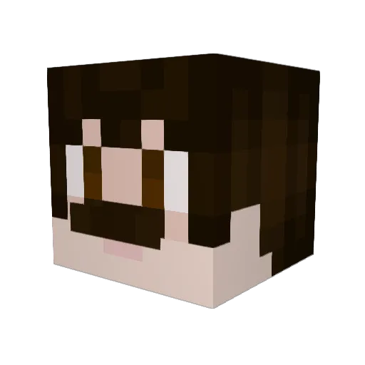 Not_Payton Minecraft avatar head, 3D render
