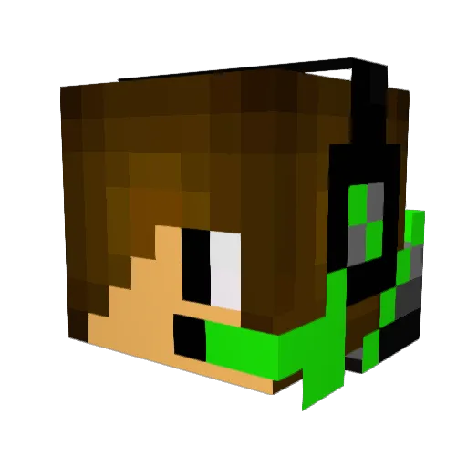Not_R3ga Minecraft avatar head, 3D render